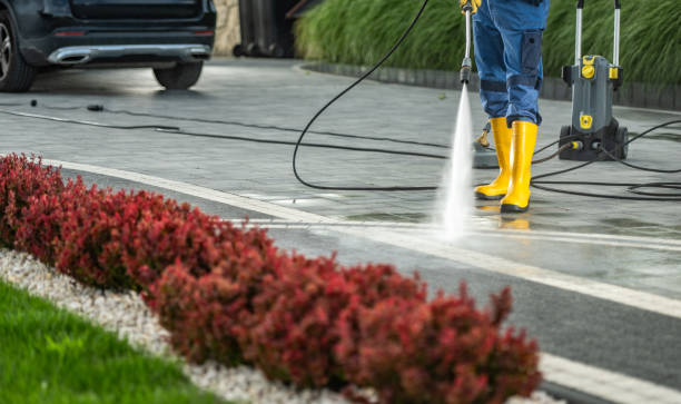 Best Gutter Cleaning  in Van Horn, TX